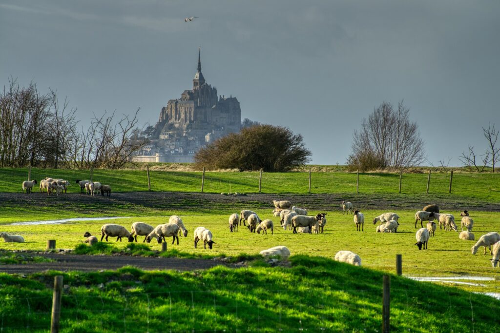 Mont Saint Michel